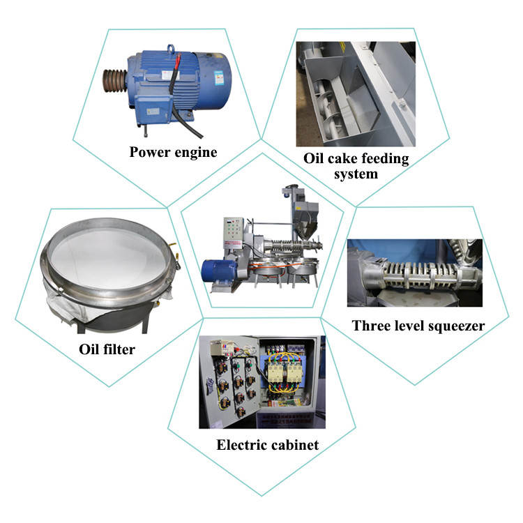 Commercial Soybean Processing Equipment Soybean Screw Oil Presser ISO Certification