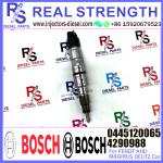 Original Common Rail Disesl Injector for Engine Parts 04290987 4290988
