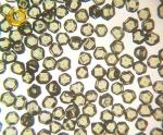 Fine Lab Synthetic Diamond , FSD Series Gem Quality Synthetic Diamonds