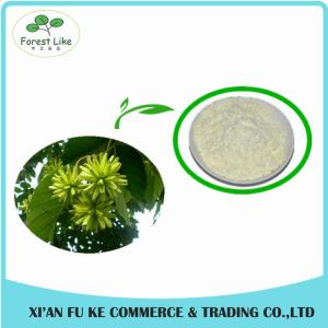 Quality 100% Natural Chaste Tree / Fructus Viticis Extract Powder wholesale