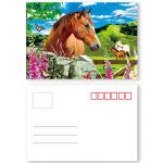 Fashion Eco - Friendly 3D Plastic Cards / Lenticular Postcard Printing