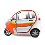 Three Wheel Adult Enclosed Scooter Trike 55km/H Central Locking