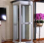 2 Persons Hydraulic Home Elevators