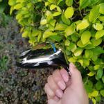 golf driver , golf club driver , golf head , golf drivers , titanium golf driver