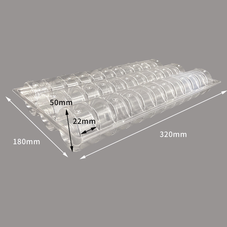 40 Packs Disposable Macaron Trays Packaging Customizable For Accurate Protection