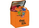 Large Insulated Cooler Bags Durable For Ourside Picnic Custom Logo Print