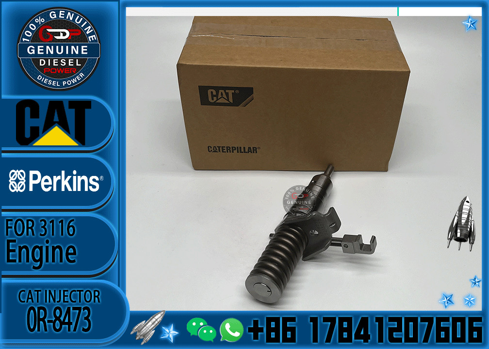 Excavator Parts CAT 3114 3116 3216 Engine fuel injector fuel injector 4P-2995 6I-3669 0R-8471 0R-8475 0R-8473