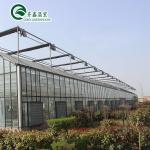 Customized Glass-Covered Vegetable Greenhouse for Restaurant Growth