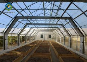 Quality Blackout Auto Light Dep Greenhouse wholesale