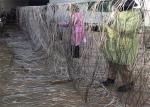 304 316 Guardrail Stainless Steel Knotted Rope Mesh Type Flexible For Safety