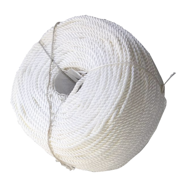3mm 6mm 3 Strand Twisted Nylon Rope for Manufacturing Customized Colour and Durable