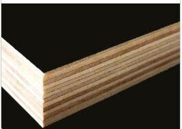 Quality Formwork EKRW-006 LVL Board wholesale