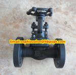 ANSI A105N forged gate valve