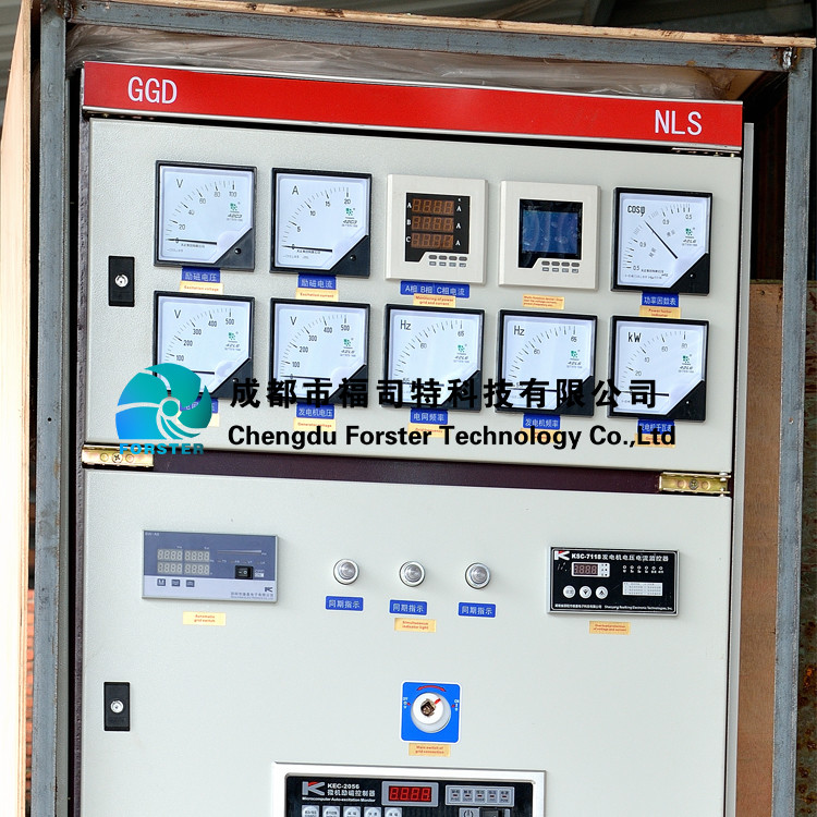 Hydro Integrated 100m Head 800kw Pelton Turbine Generator