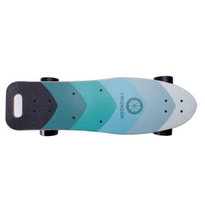Quality Colorful Longboard Electric Skateboard Truck , Electric Wheel Skateboard CE Approved wholesale