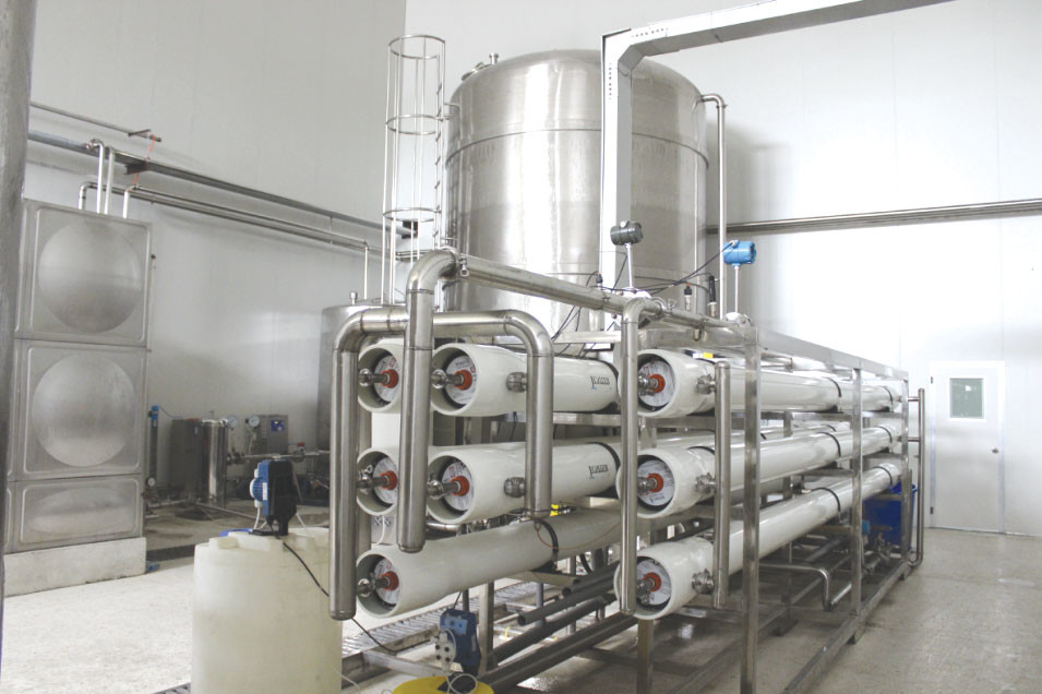 Removed 99.99% Pathogene 15T RO Water Treatment System
