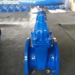 ANSI DIN Rubber Resilient Seated non-rising Stem Gate Valve