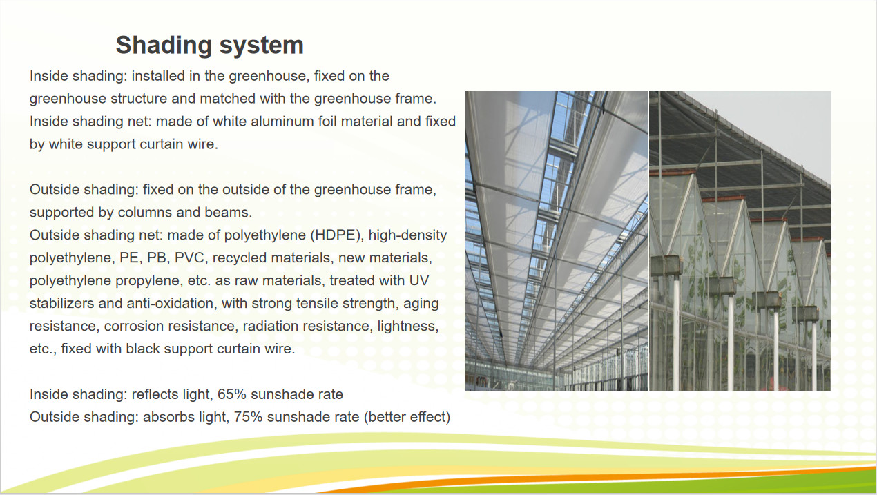 Venlo Greenhouse Commercial Polycarbonate Glass Greenhouse For Seeds Vegetables Hydroponic Tomato