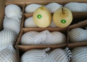Quality Crisp Chinese White Pear wholesale