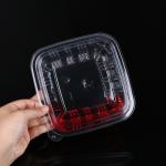 Plastic Dessert Cake Snacks Disposable Food Trays With Lid OEM ODM