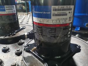 Quality 195000BTU 20HP Cooler Compressor ZP235KCE-TWD Copeland Refrigeration Compressor wholesale