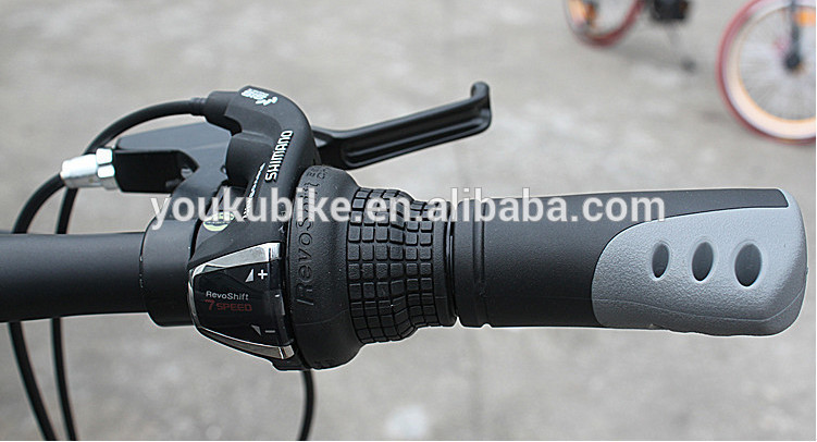 OEM Carbon Steel Mini 20 Inch Foldable Road Bike