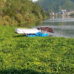 Quality Urban Canal Trash Collecting Boat Discharge Water Hyacinth wholesale