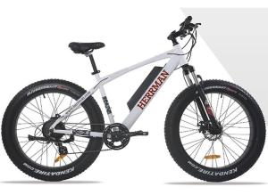 Quality 48V 500W 8Fun Brushless Motor Mountain Electric Bicycle MTB Electric Powered Bike with LCD Display wholesale