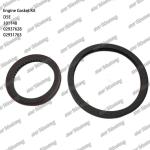 Full Gasket Kit D5E 101148 02937628 02931763