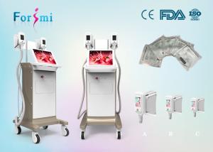 Quality CE / FDA approved safety latest professional 15 inch screen fat freezing slimming cryolipolysis wholesale