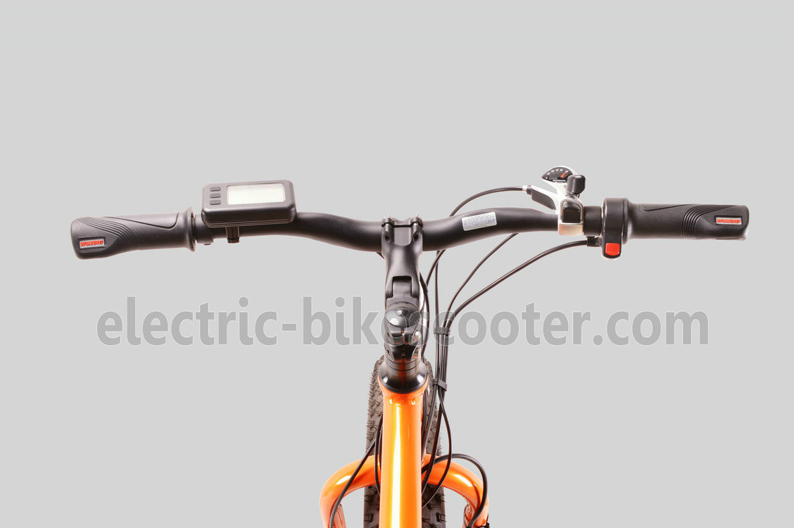 28km/H Fat Tire Cruiser Ebike Front Motor Pedals Assisted Disc Brake