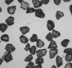 Black BDD Boron Doped Diamond Pure Polycrystalline CVD Diamond