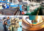 Biomass Pellet Machine