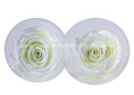 Ecuador Preserved Rose Head Long Life Roses For Party Event Decoration