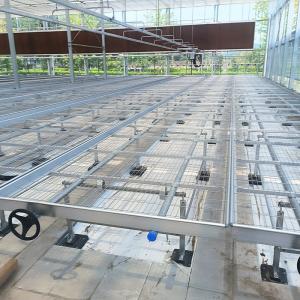 Quality Horticulture Adjustable Seed Bed Wire Mesh Commercial Greenhouse Grow Table wholesale