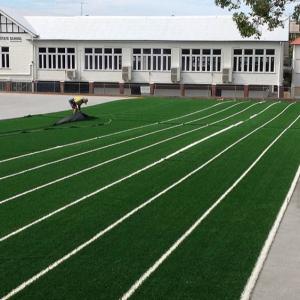 Quality 10mm Tennis Court Artificial Grass / Artificial Lawn Carpet OEM Acceptable Fashionable wholesale