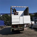 fast assemble waterproof 50mm eps sandwich panel for prefabricated house