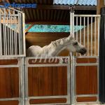 Welded Weave Horse Stall Fronts Custom With Roof