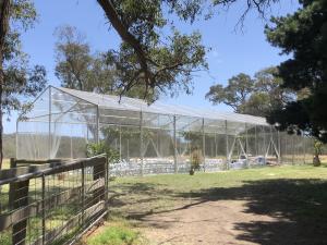 Quality 300 Seater Clear Wedding Marquee 10x30 Commercial Event Tent Australia Style wholesale