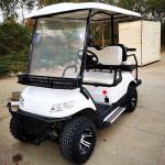 4 Seats Electric Golf Cart Utility Off-Road Lithium Evolution Wholesale Price
