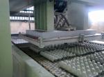 Small Scale Pulp Packaging Machine