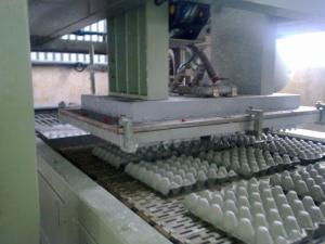 Quality Small Scale Pulp Packaging Machine wholesale