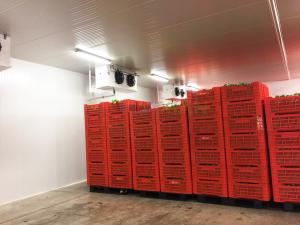 Quality Vegetable Fruit Cold Storage Room 0~10°C Industrial Refrigeration System wholesale