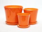 Beauty And Functionality Of Ceramic Pots For Any Plant Shop Small Size