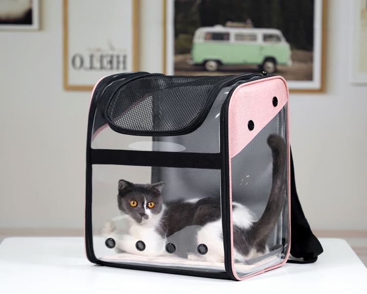 PVC Completely Transparent And Foldable Pet Travel Carrier Pet Carrier Backpack