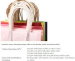 Glossy cardboard luxury paper garment carrier bag wholesale,Medium luxury