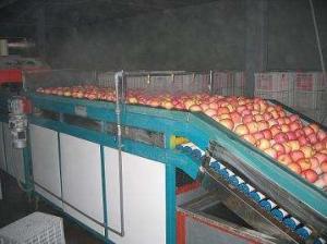 Quality 2 Ton Per Day Apple Juice Processing Plant Beverage Processing Line wholesale