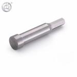 OEM Die Casting Mold Parts Punch Pins Ss316 Cylindrical Ellipse Shape