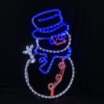 2019 Christmas newest arrival LED rope light motif lights IP55 garden outdoor