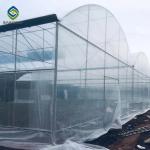 Steel Frame Double Arch 4.5m Multi Span Greenhouse
